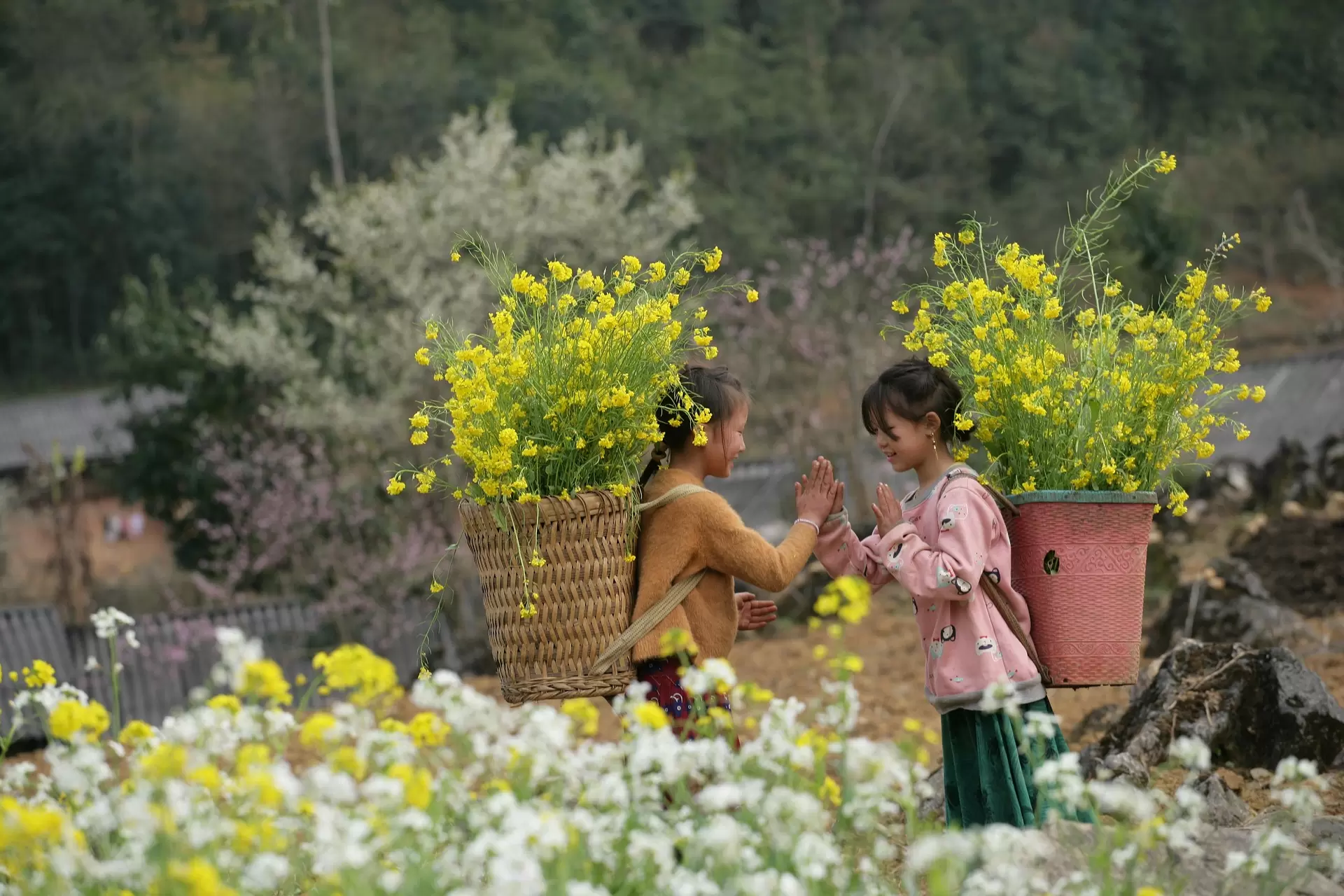 Spring Colours Across the Nation 2026 – Frühlingsfestival im Vietnam National Village